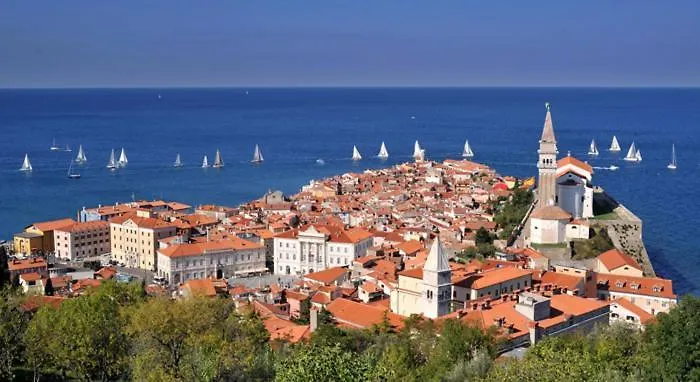 아파트 아파트먼트 Vip